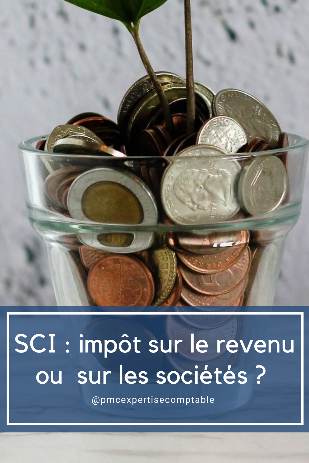 SCI à L'impôt sur le revenu (IR) ou sur les sociétés (IS) ?